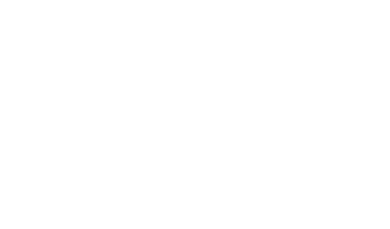 light logo
